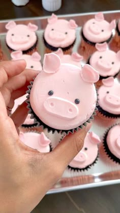 a person holding a cupcake with pink frosting in front of some pig shaped cupcakes