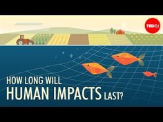 an image of fish swimming in the ocean with words how long will human impact last?