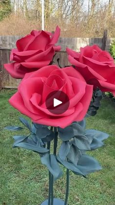 three large red roses sitting on top of a metal stand in the grass next to a fence