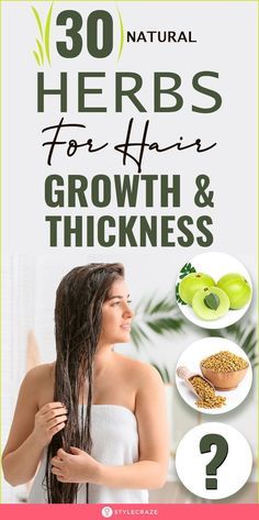 Hair Growth Naturally, Stop Hair Breakage, Growing Healthy Hair, How To Grow Your Hair Faster, Hair Care Recipes, Homemade Hair Products