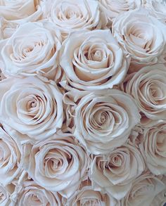 a bouquet of white roses sitting on top of a table