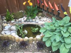 a small pond surrounded by rocks and plants in a garden area with colorful umbrellas hanging from the fence