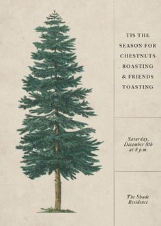 a drawing of a pine tree with the words tis the season for guests roasting and friends toasting