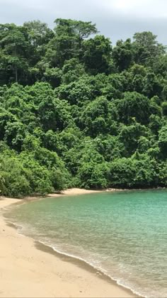 a sandy beach surrounded by green trees and blue water with a boat in the foreground