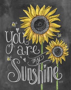 a chalkboard drawing of two sunflowers with the words you are my sunshine