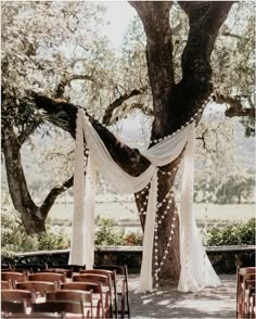 an outdoor ceremony setup with white draping and wooden chairs under a large tree