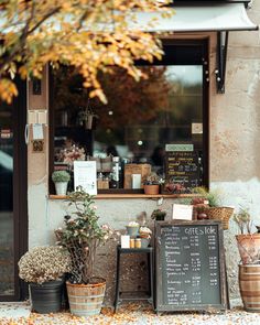 the outside of a store with potted plants and signs on the front window,