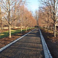 an empty road surrounded by trees and grass