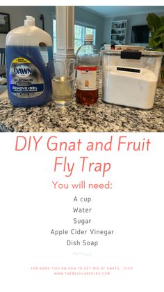 the ingredients for diy gnat and fruit fly trap