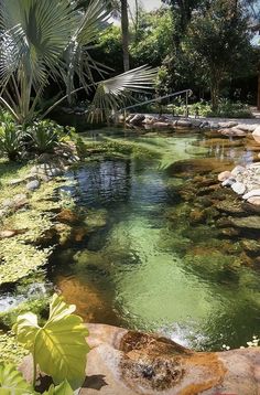 there is a small stream in the middle of some rocks and plants on the side