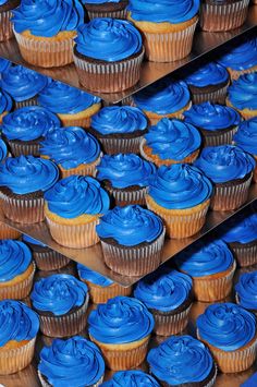 there are many blue cupcakes on the shelves