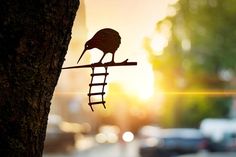 a bird is perched on a ladder attached to a tree in front of the sun