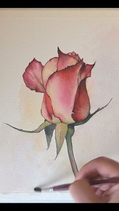 someone is drawing a rose with watercolors on the paper and it looks like they are