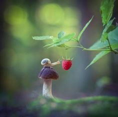 a small mushroom with a strawberry on it