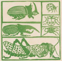 an image of bugs and insects in green ink