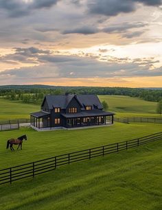 a horse is standing in the middle of a field next to a house with a black roof