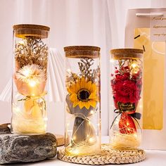 three glass vases with flowers and lights in them