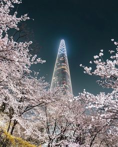 the skyscraper is lit up at night with cherry blossom trees in full bloom around it