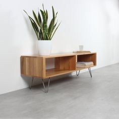 a potted plant sitting on top of a wooden shelf next to a white wall