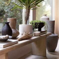 several vases and plants on a table in front of a window