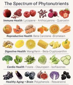 Phytonutrients Food Health Benefits, Healthy Food Facts, Power Foods, Herbs For Health, Food Choices, Healing Food, Food Facts, Healthy Aging, Smoothie Diet