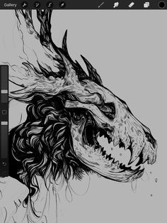 a black and white drawing of a dragon's head with long hair on it