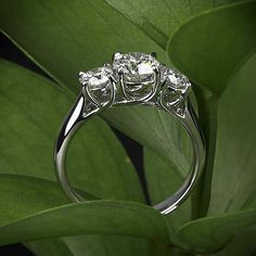 three stone diamond ring sitting on top of a leafy green plant with leaves in the background