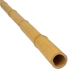 an old bamboo pipe on a white background