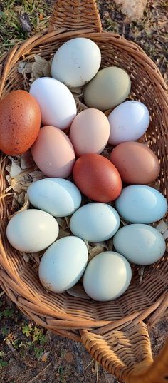 a basket full of eggs sitting on the ground