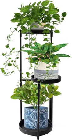 three tiered plant stand with potted plants