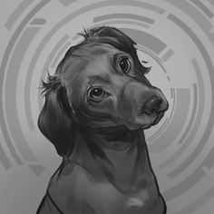 a black and white drawing of a dog's head with circles in the background