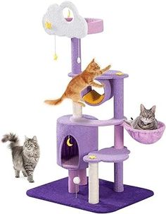 two cats playing in a purple cat tree