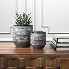 two potted plants sitting on top of a wooden table