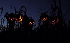 three jack o lantern pumpkins with the words i can't wait until halloween