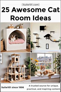 the 25 awesome cat room ideas that are easy to make and great for small spaces