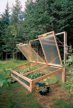 an open wooden box filled with plants in the middle of some grass and trees behind it