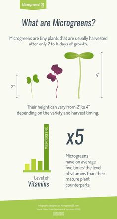 the benefits of microgreens info