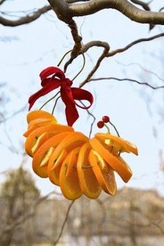 an orange fruit hanging from a tree with a red bow on it's end