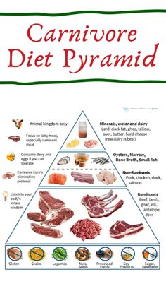 Carnivore Diet Pyramid Carnivore Food Pyramid, Carnavoir Diet, Carnivore Diet For Beginners Women, Carnivores Diet, All Meat Diet, Carnivore Lifestyle, Carnivore Meals