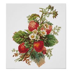 a painting of strawberries and flowers with leaves