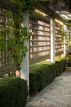 a garden and backyard patio area with wooden pergols on the sides, bushes in the foreground and stone walkway between them