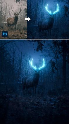 two photos with blue light in the middle and an antelope on the other side