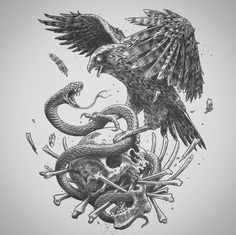 an eagle sitting on top of a skull next to a snake and a human skull