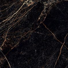 black marble with gold veining and vines on the edges is seen in this image