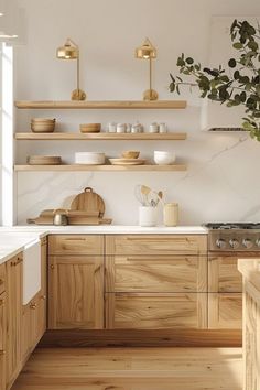 a kitchen with wooden cabinets and white counter tops next to a potted plant on the wall