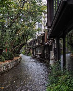 a river running through a lush green forest next to tall buildings on either side of it