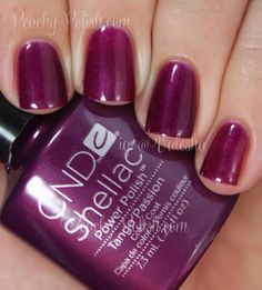 CND Shellac: Summer 2014 Paradise Collection Swatches and Review Nails Shellac