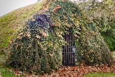 an old building covered in vines and leaves