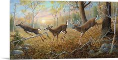 three deer running through the woods in front of trees