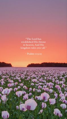 a field full of pink flowers with a sunset in the background and a bible verse